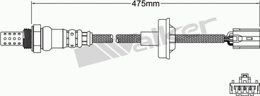 Walker 250-24979 - Sonda lambda www.autoricambit.com