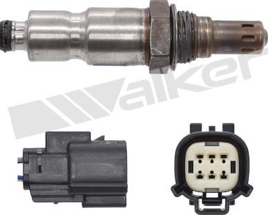 Walker Products 800-95036 - Sonda lambda www.autoricambit.com