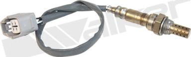 Walker Products 350-34987 - Sonda lambda www.autoricambit.com