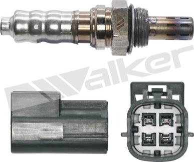 Walker Products 350-34488 - Sonda lambda www.autoricambit.com