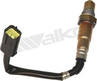 Walker Products 350-34556 - Sonda lambda www.autoricambit.com