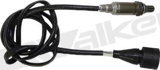 Walker Products 350-34062 - Sonda lambda www.autoricambit.com