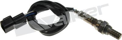 Walker Products 350-341019 - Sonda lambda www.autoricambit.com