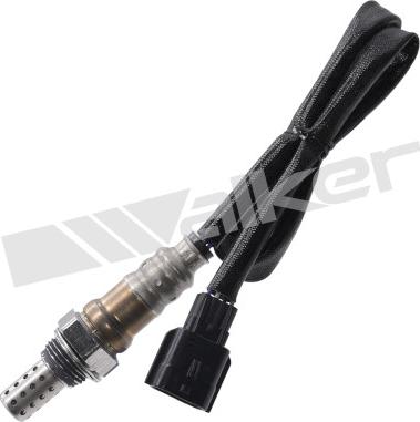 Walker Products 350-34817 - Sonda lambda www.autoricambit.com