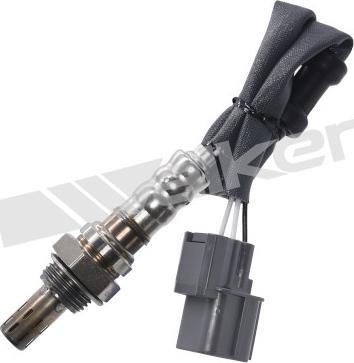 Walker Products 350-34251 - Sonda lambda www.autoricambit.com