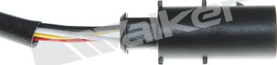 Walker Products 350-35161 - Sonda lambda www.autoricambit.com