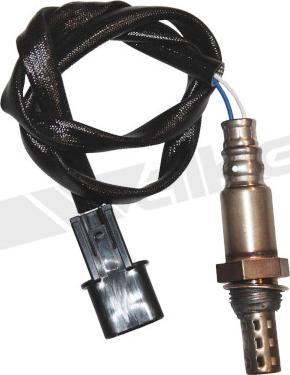 Walker Products 350-32009 - Sonda lambda www.autoricambit.com