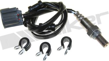 Walker Products 250-54093 - Sonda lambda www.autoricambit.com