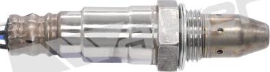 Walker Products 250-54104 - Sonda lambda www.autoricambit.com