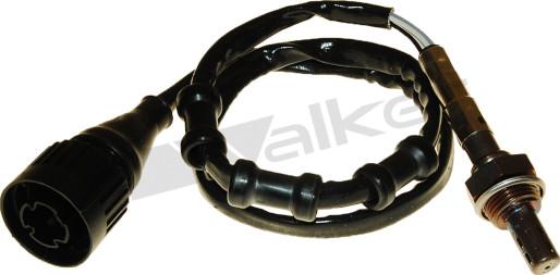 Walker Products 250-24613 - Sonda lambda www.autoricambit.com