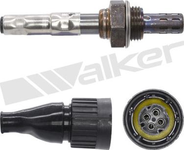 Walker Products 250-24613 - Sonda lambda www.autoricambit.com