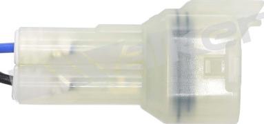 Walker Products 250-24049 - Sonda lambda www.autoricambit.com