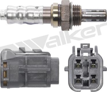 Walker Products 250-24864 - Sonda lambda www.autoricambit.com