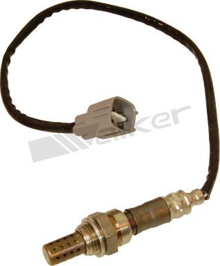 Walker Products 250-24305 - Sonda lambda www.autoricambit.com