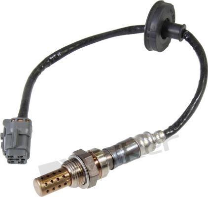 Walker Products 250-24289 - Sonda lambda www.autoricambit.com