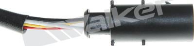 Walker Products 250-25126 - Sonda lambda www.autoricambit.com