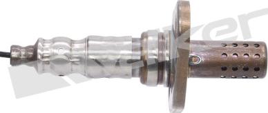 Walker Products 250-21053 - Sonda lambda www.autoricambit.com