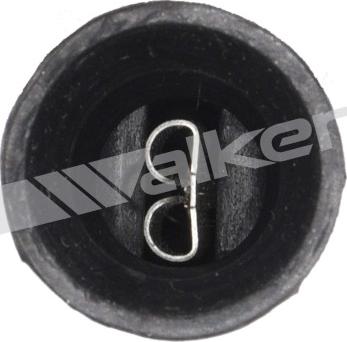 Walker Products 250-21013 - Sonda lambda www.autoricambit.com