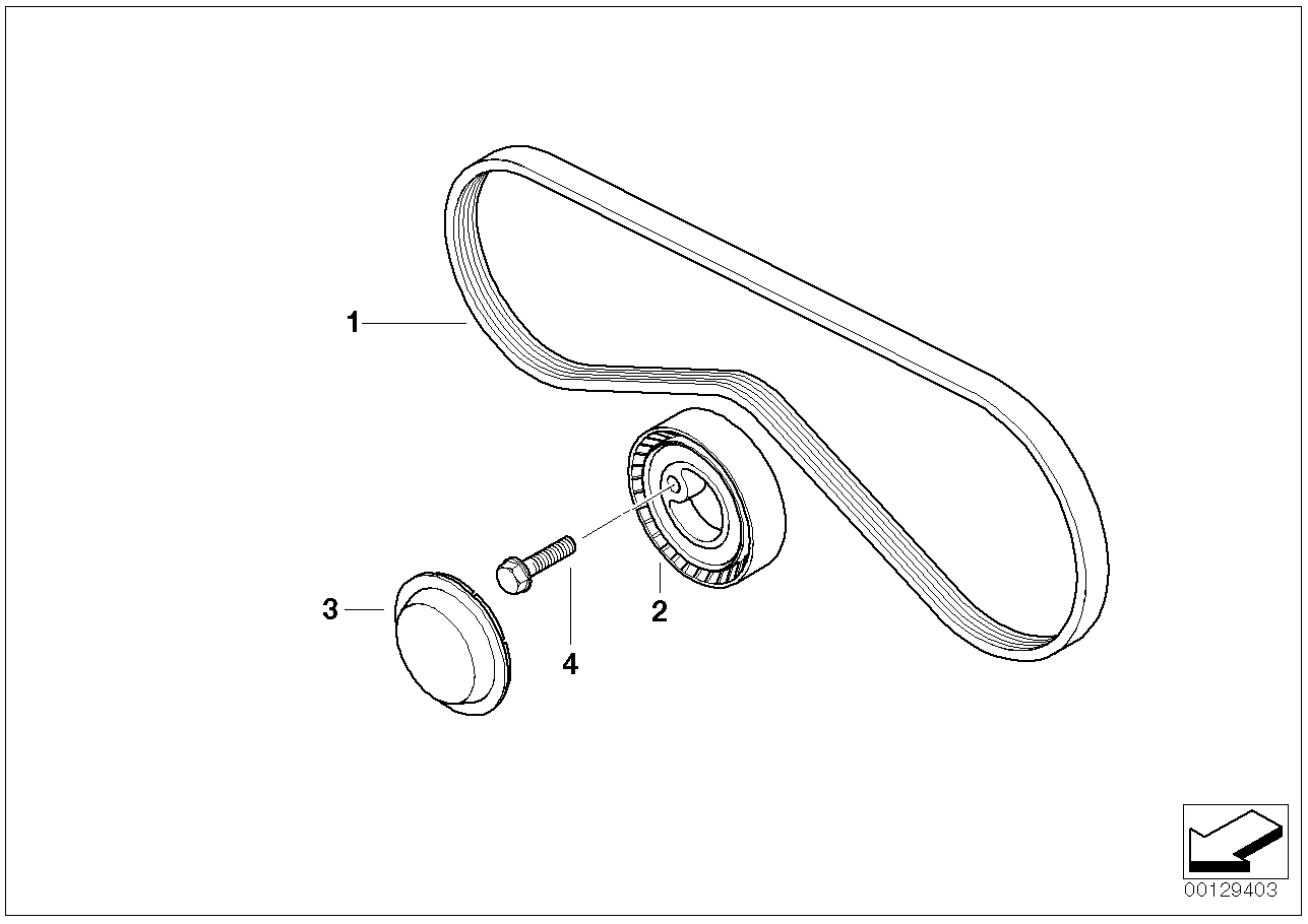 Mini 64 55 1 727 378 - Cinghia Poly-V www.autoricambit.com