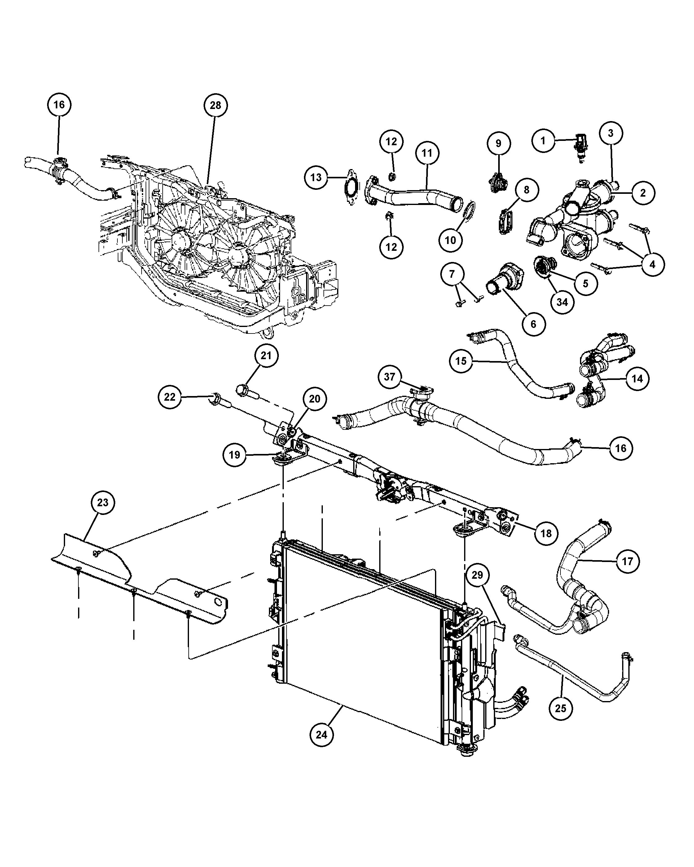 Jeep 68000 800AA - Termostato, Refrigerante www.autoricambit.com