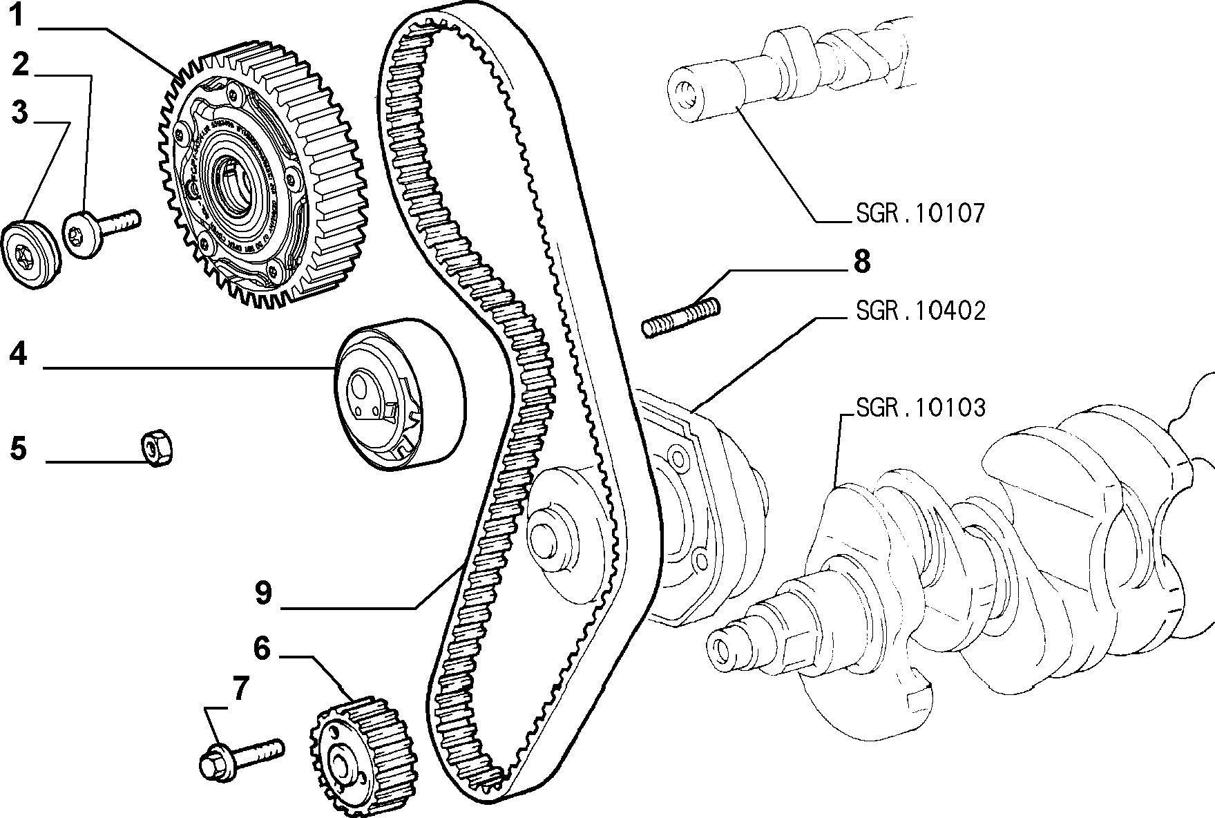 FORD 55203785 - Cinghia dentata www.autoricambit.com