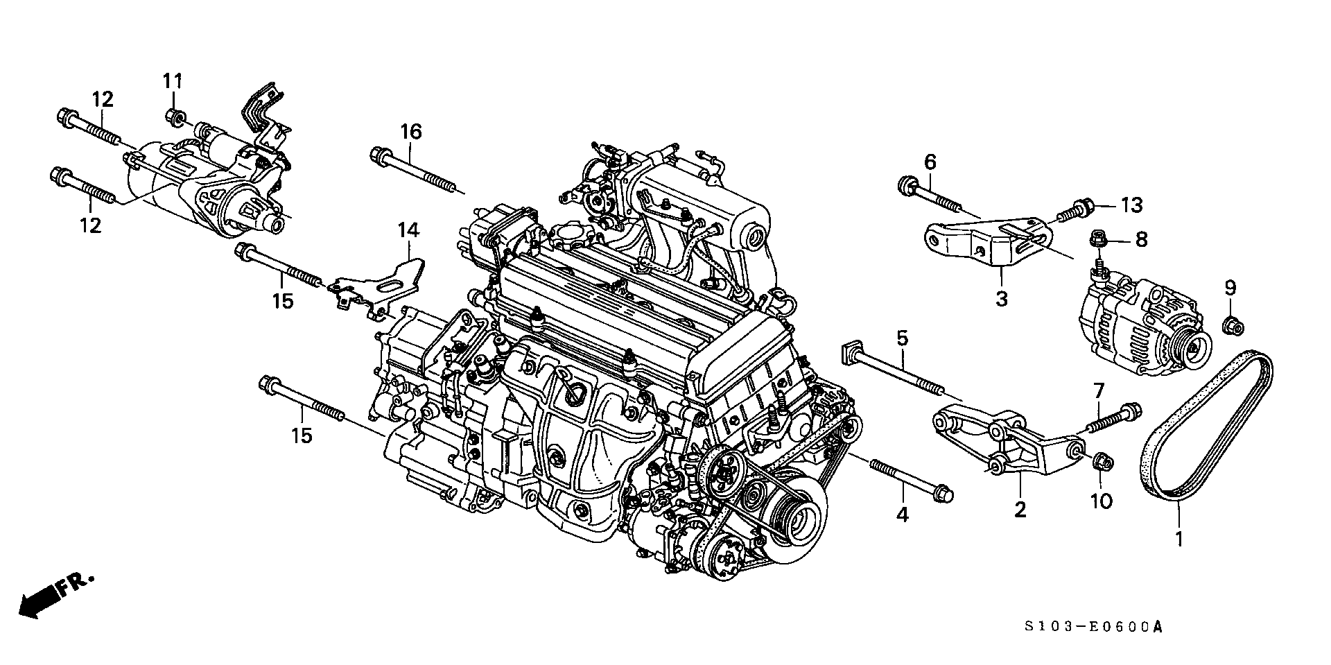 Honda 31110-P3F-004 - Cinghia Poly-V www.autoricambit.com