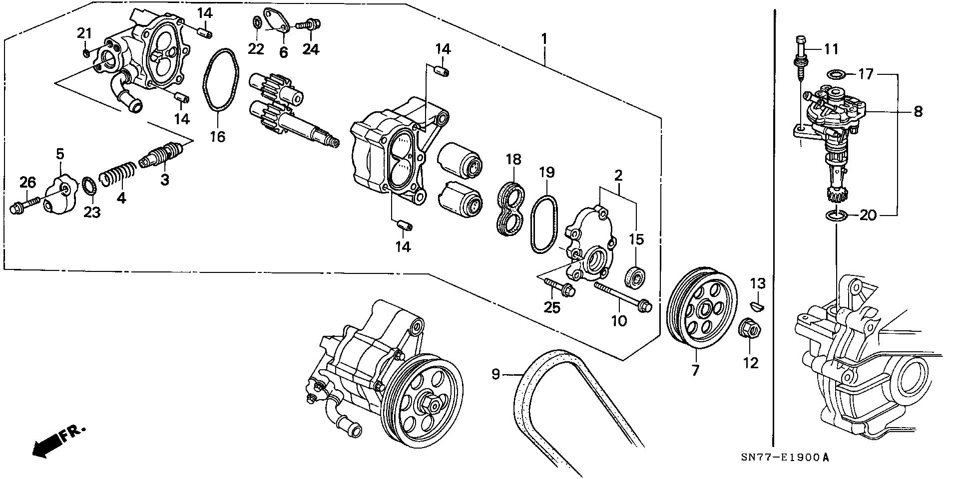 Honda 56992-P45-G01 - Cinghia Poly-V www.autoricambit.com