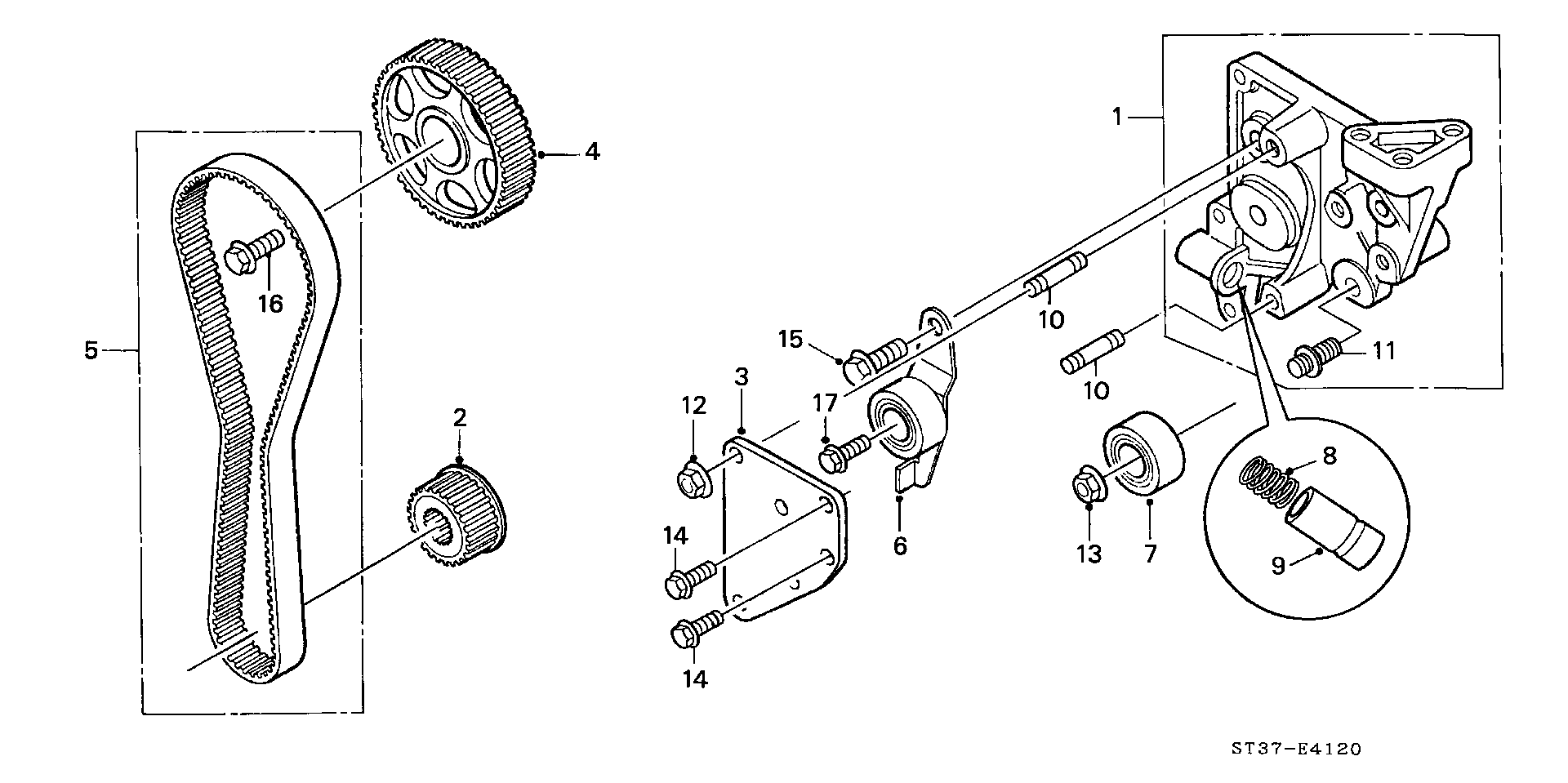 Rover 14520P5TG00 - Tendicinghia, Cinghia dentata www.autoricambit.com