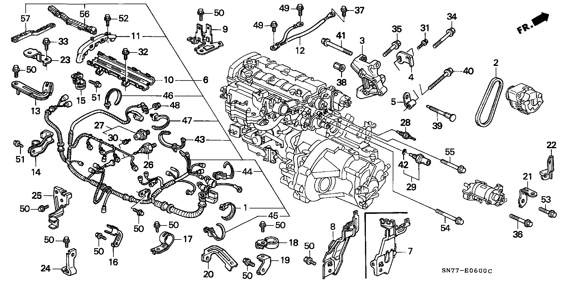 NISSAN 31110-P44-G03 - Cinghia Poly-V www.autoricambit.com