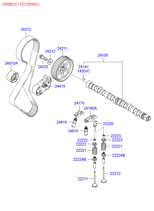 KIA 24312 38010 - Cinghia dentata www.autoricambit.com