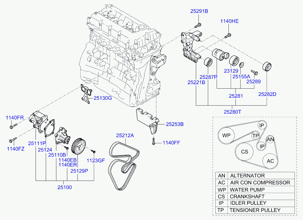 Hyundai 25212 25010 - Cinghia Poly-V www.autoricambit.com