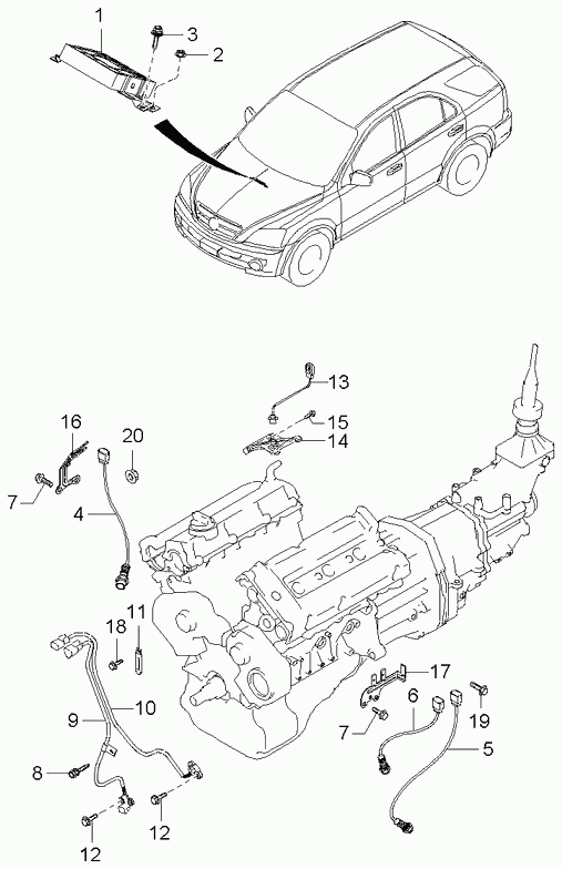 Hyundai 39210-39500 - Sonda lambda www.autoricambit.com