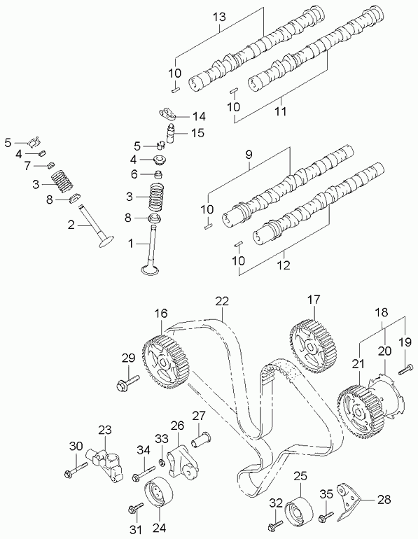 KIA 24312 39800 - Cinghia dentata www.autoricambit.com