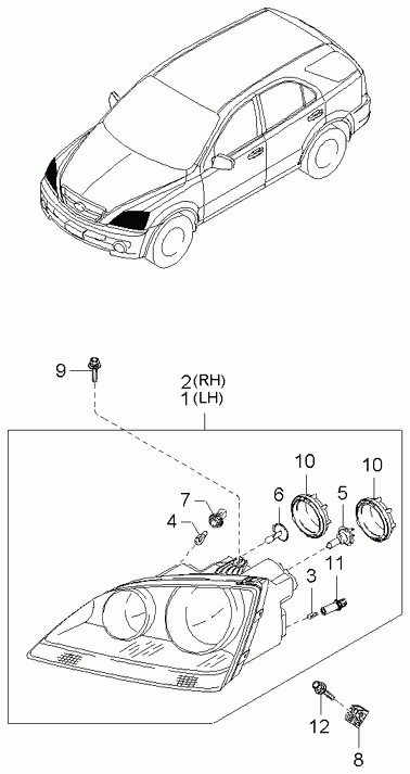 Hyundai 9216138000 - Lampadina, Luce guida diurna www.autoricambit.com