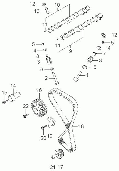 KIA 24312 38220 - Cinghia dentata www.autoricambit.com