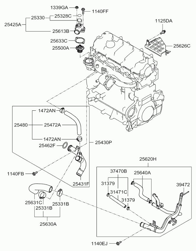 Hyundai 253302E100 - Tappo, radiatore www.autoricambit.com