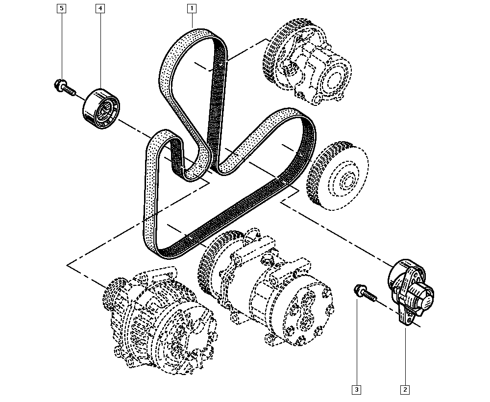 RENAULT 77 00 101 261 - Cinghia Poly-V www.autoricambit.com