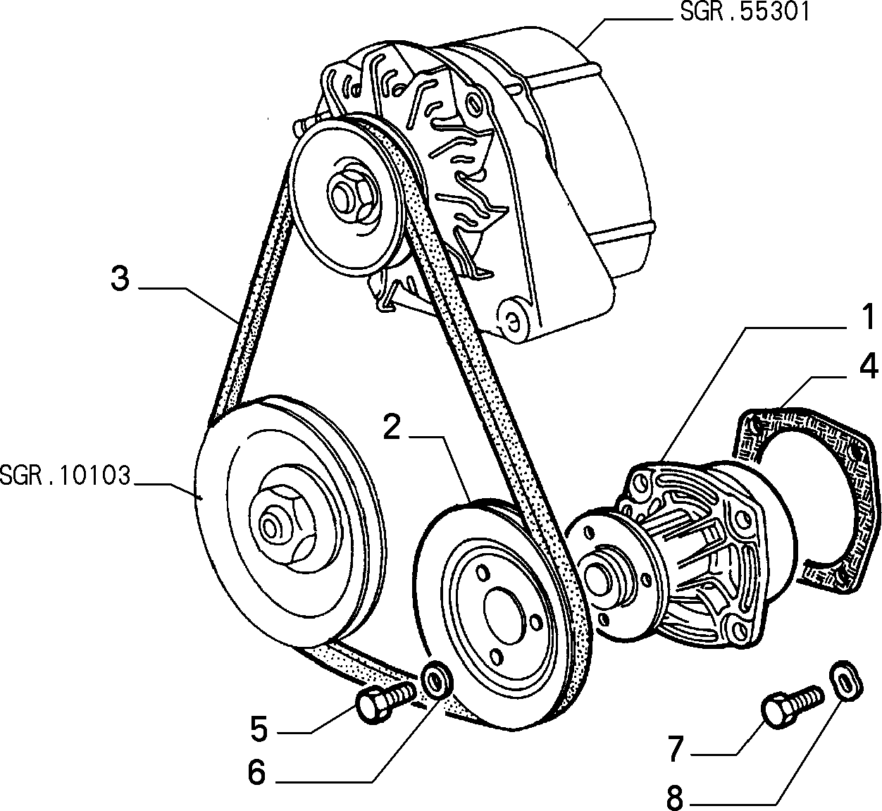 Alfa Romeo 60504835 - Cinghia trapezoidale www.autoricambit.com