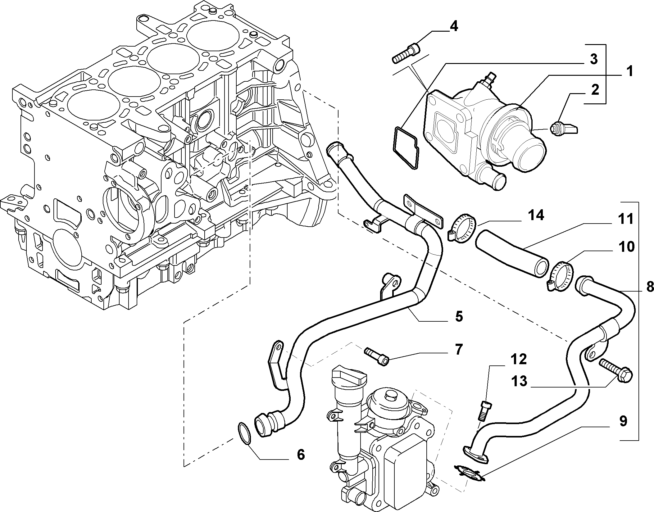 FIAT 55191700 - Condotto del refrigerante www.autoricambit.com