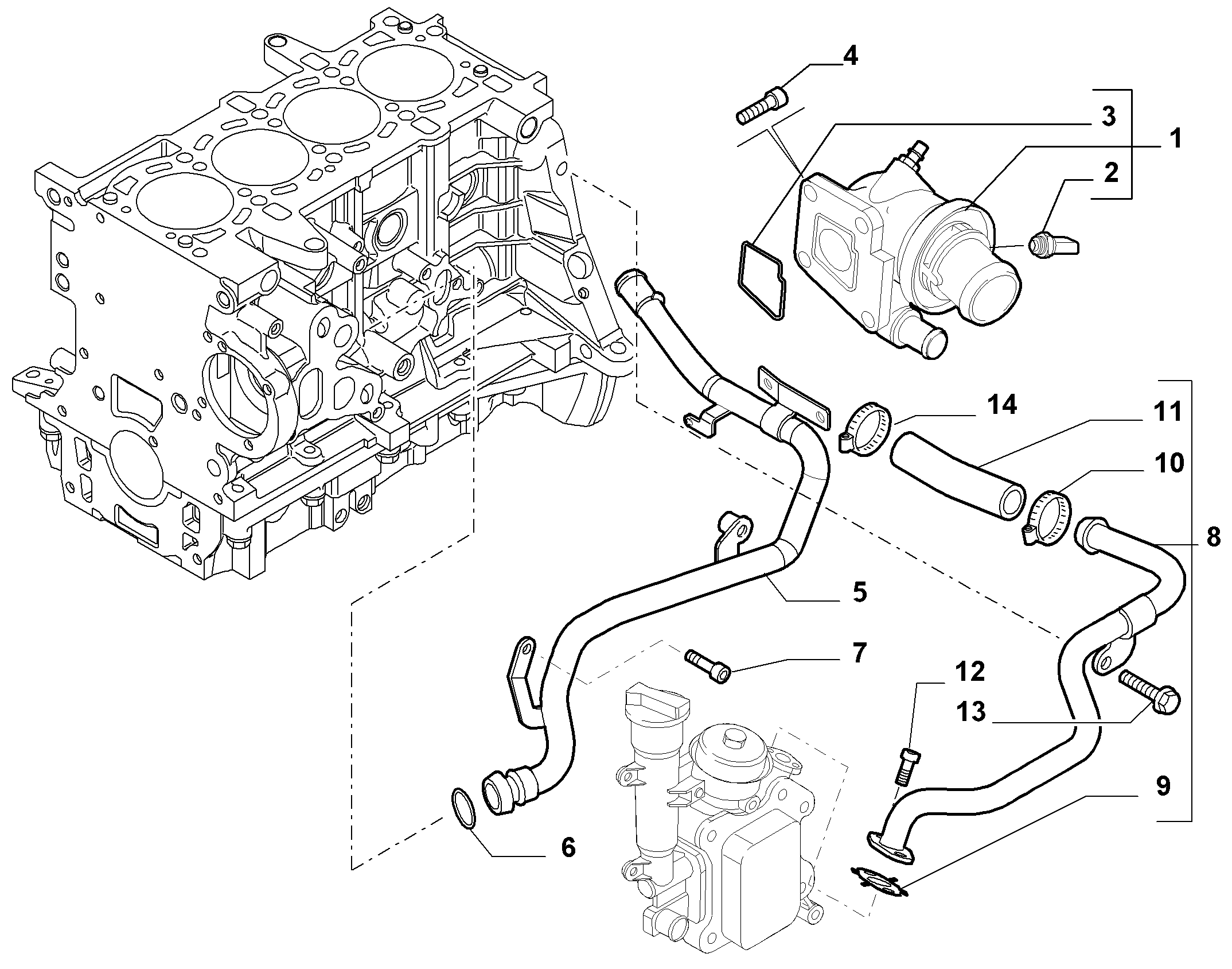 FIAT 55188299 - Condotto del refrigerante www.autoricambit.com